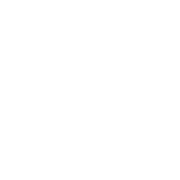 RNI Logo